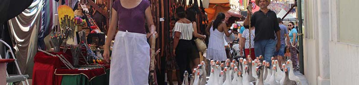 ocas adiestradas para paseos