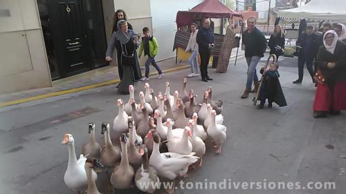 Alcora 2019 - Granja movil